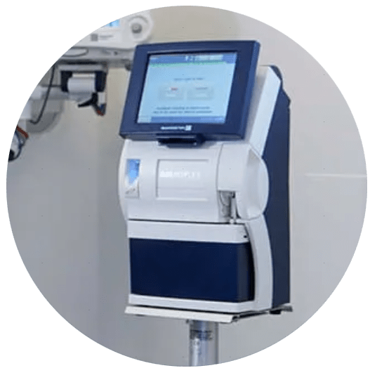 Descripción de la imagen